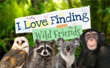 I Love Finding Wild Friends Switch ROM (NSP/XCI + DLC Update) Download for Free