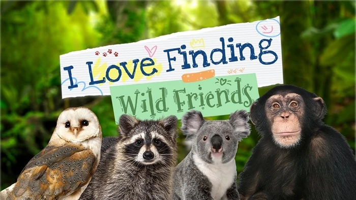 I Love Finding Wild Friends Switch ROM (NSP/XCI + DLC Update) Download for Free