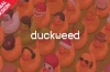 Duckweed Switch ROM (NSP/XCI + DLC Update) Download for Free