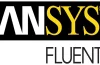 ANSYS Fluent